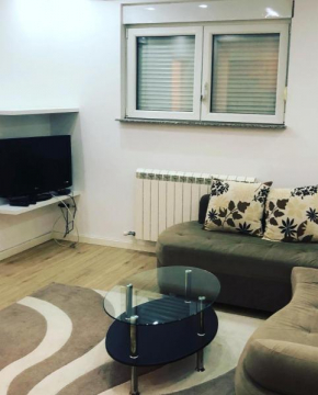 Zlata Apartment
